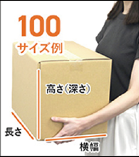 サイズ例100